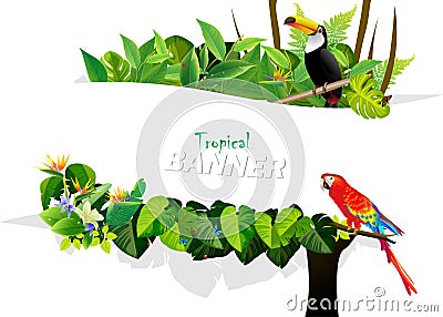 Tropical leaves and animal backgrounds s Stock Photo