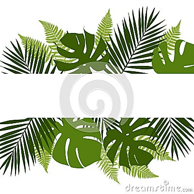 Tropical leaves background with white banner. Palm,ferns,monsteras. Vector Illustration