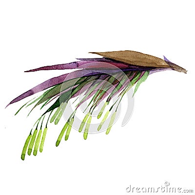 Tropical leaves bamboo tree in a watercolor style isolated. Stock Photo