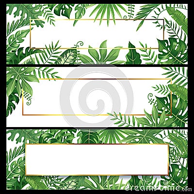 Tropical leaves banners. Exotic palm leaf banner, natural coconut palms branch frames and jungle plants vector Vector Illustration