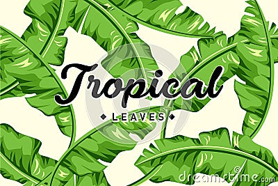 Tropical Leaves Bckground Template Stock Photo