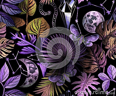 Tropical leaves with butterfly and moon Stock Photo