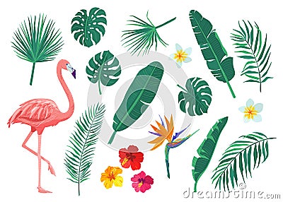 Tropical leaves, flowers vector illustration set. Cartoon flat element with monstera, hibiscus, frangipani, flamingo Vector Illustration