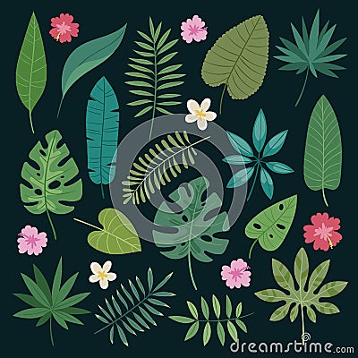 Tropical leaves flowers vector tropic hibiscus flowering plant and leaf foliage palm or banana tree in jungle exotic Vector Illustration