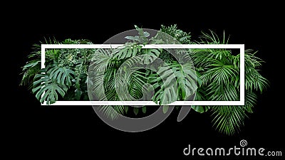 Tropical leaves foliage jungle plant bush nature backdrop with w Stock Photo