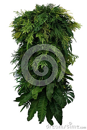 Tropical leaves foliage plant bush floral arrangement, vertical Stock Photo