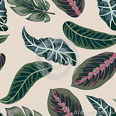 Vector. Tropical leaves, jungle leaves seamless vector floral pattern background. Vector Illustration