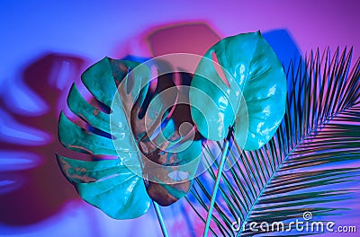 Tropical leaves Monstera and palm in vibrant bold gradient holographic colors. Concept art. Minimal surrealism Stock Photo