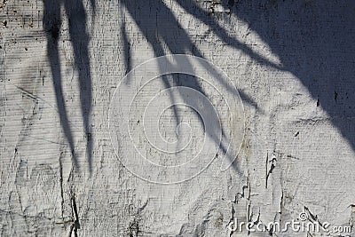 Tropical leaves shadow on dirty old vinyl banners background. Stock Photo