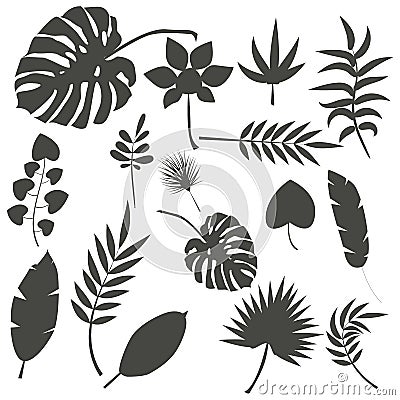 Tropical leaves palm summer exotic jungle green leaf vector illustration Vector Illustration