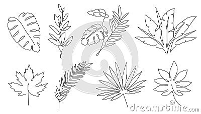 Tropical leaves. Palm tree and maple linear leaf. Tropic jungle and beach floral abstract elements continuous line Vector Illustration