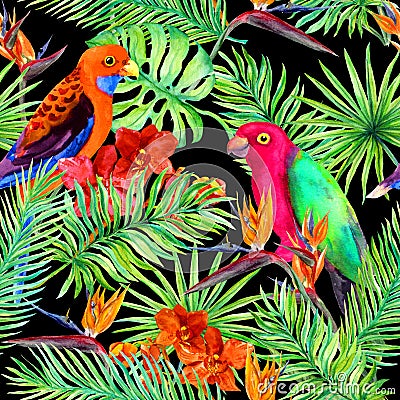 Tropical leaves, parrot birds, exotic flowers. Seamless jungle pattern on black background. Watercolor Stock Photo