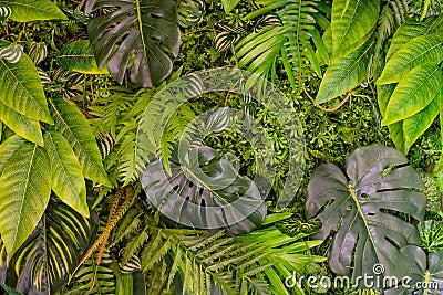 Tropical leaves pattern. Green leaf exotic plants seamless on a dark jungle background. Artistic photo collage for Stock Photo