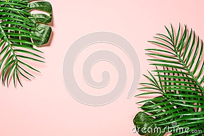 Tropical leaves on pink background. Stock Photo