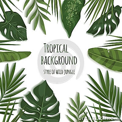 Tropical leaves Vector Illustration