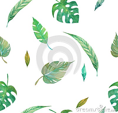 Tropical leaves watercolor pattern on white background Stock Photo