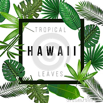 Tropical leaves on white background Vector Illustration