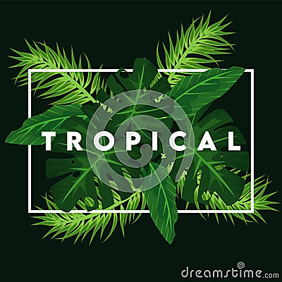 tropical lettering poster with green leafs in square frame Vector Illustration