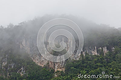 Tropical Limestone Cliffs with Fog Stock Photo