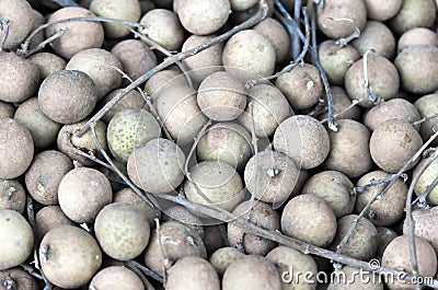 Tropical longan Stock Photo