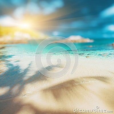 Tropical lost beach Stock Photo