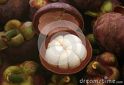 Tropical mangosteen fruit Stock Photo