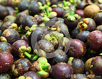 Tropical mangosteen Stock Photo