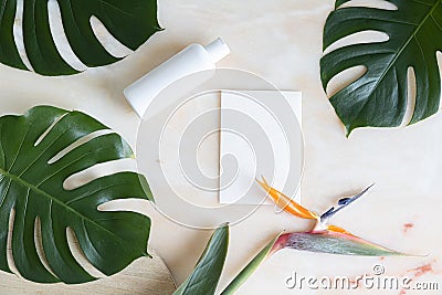Tropical mockup card. Style home interior. White bottle lotion. Stock Photo