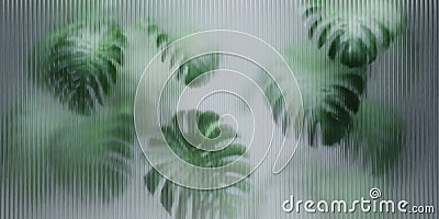 Tropical monstera plant behind reeded glass panel. Abstract botanical background with green foliage. Greenhouse architecture Stock Photo