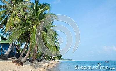 Tropical morning sand beach with coconut palm trees and clear blue sky. Thailand, Samui island, Maenam Stock Photo