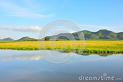 Tropical of natural landscape. Stock Photo