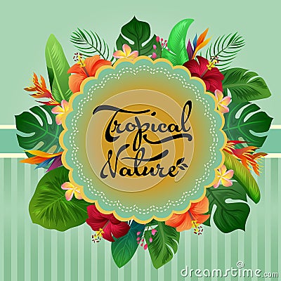 Tropical nature card summer colored leaves decoration Vector Illustration