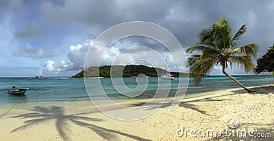 Caribbean wild beach with palm trees. Stock Photo