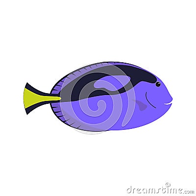 Tropical ocean surgeon fish Vector Illustration