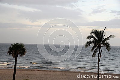 Tropical ocean waves and a cool breeze mean you`re in South Florida. Stock Photo