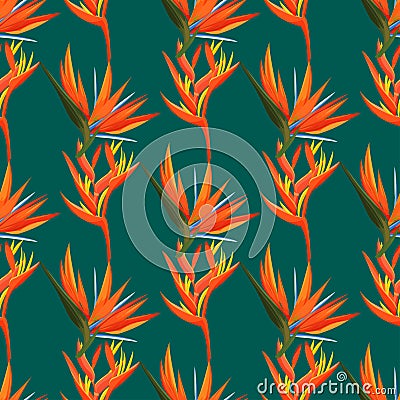 Heliconia and strelizia flowers vector illustration. Tropical orange plants background. Vector Illustration