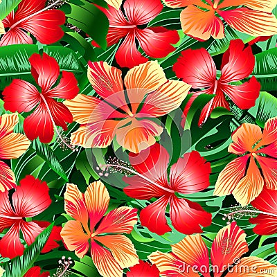 Tropical orange and red variegated hibiscus flowers seamless pat Vector Illustration