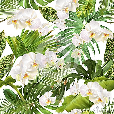 Tropical orchid leave pattern Vector Illustration