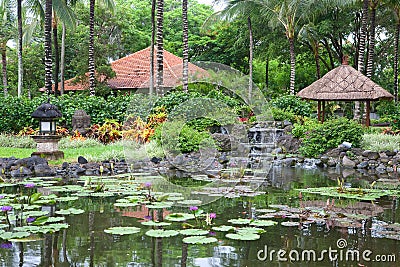 Tropical outdoor garden with palm trees and pond Stock Photo