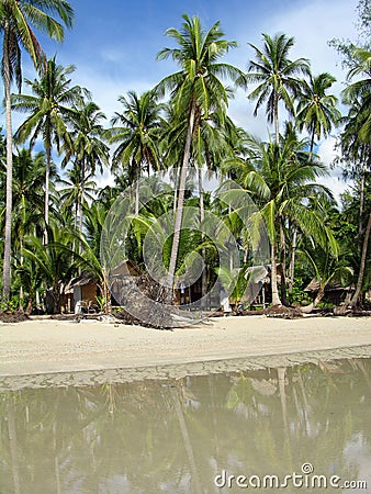 Tropical palm beach, Thailand Stock Photo