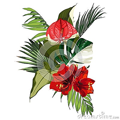 Tropical palm branches and exotic leaves, Spathiphyllum, amarylis red flower composition over white background. Stock Photo