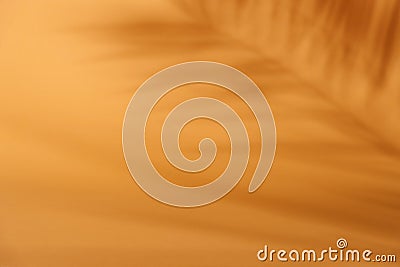 Tropical palm leaf shadow on orange background. Tropic plant overlay on thanksgiving and halloween design. Product display. Stock Photo