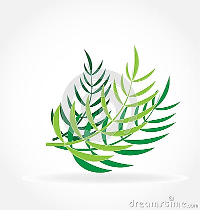 Tropical palm leafs vector Vector Illustration