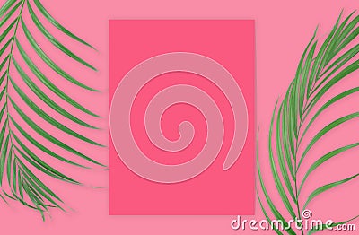 Tropical palm leaves with empty paper for your design on pink ba Stock Photo