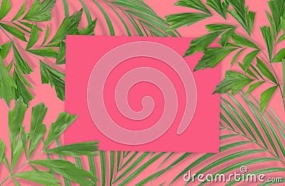 Tropical palm leaves with empty paper for your design on pink ba Stock Photo