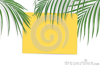 Tropical palm leaves with empty paper for your design on white b Stock Photo