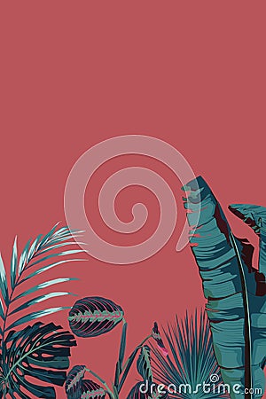 Tropical palm leaves, jungle leaf. Vector exotic frame, floral elements isolated Stock Photo