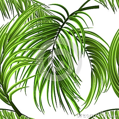 Tropical palm leaves, jungle leaves seamless vector floral seamless pattern background Vector Illustration