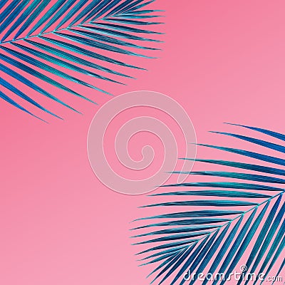 Tropical palm leaves pattern on pastel color background.Nature Stock Photo