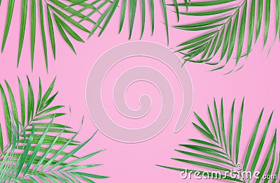 Tropical palm leaves on pink background. Minimal nature. Summer Stock Photo